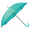 Colourised Fashion Umbrellas mint